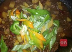 家庭版黄焖鸡的做法图解14