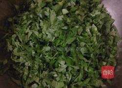 芹菜叶饼的做法图解2