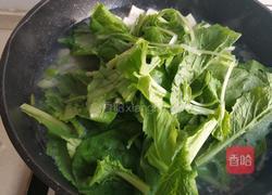 小白菜蚶子豆腐汤的做法图解12