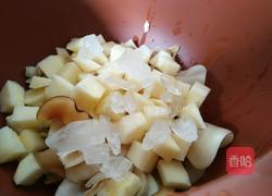 海底椰苹果百合甜汤的做法图解7