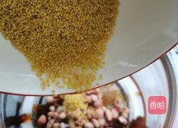 桃胶小米汤的做法图解6