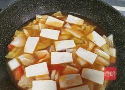 西红柿白菜豆腐汤的做法图解7