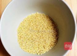 龙眼小米南瓜汤（补气血）的做法图解2