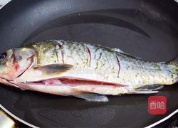 鲫鱼豆腐汤的做法图解3