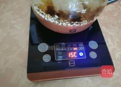 桃胶银耳薏米汤的做法图解7