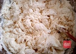 茴香肉包的做法图解2