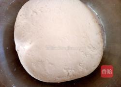 茴香肉包的做法图解3