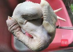 麦冬香菇炖鸡汤的做法图解2