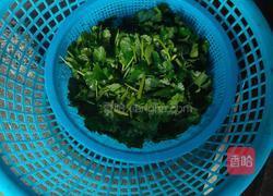 凉拌香菜的做法图解1