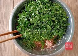 香菜肉饼的做法图解5