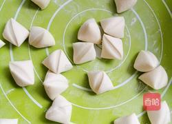 猪肉馅生煎包的做法图解4