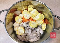 胡萝卜马蹄玉米炖排骨的做法图解7