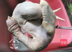 榛蘑炖鸡汤的做法图解4