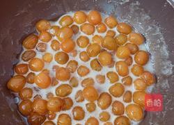 金桔膏的做法图解3