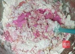 火龙果面包(不用揉出手膜)的做法图解4