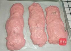 火龙果面包(不用揉出手膜)的做法图解15