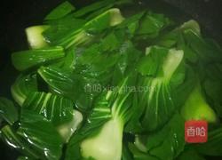 油菜开花的做法图解4