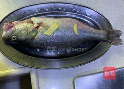 （粤式）清蒸鲈鱼的做法图解1