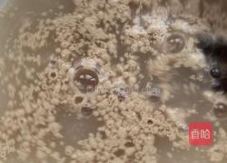 苔条麻花的做法图解4