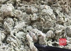 苔条麻花的做法图解7