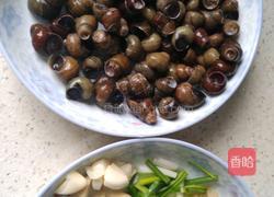 红烧螺丝的做法图解1