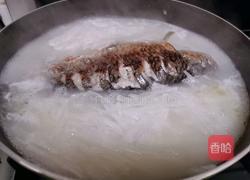 萝卜丝鲫鱼汤的做法图解9