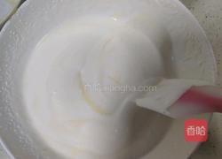 低碳生酮冰淇淋的做法图解4