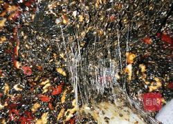 阿胶糕的做法图解18