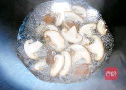 蒜蓉香菇炒茼蒿的做法图解4