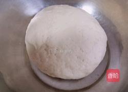 萝卜丝牛肉馅饼的做法图解3