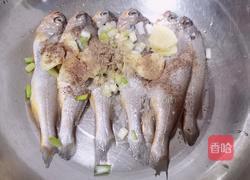 香煎小黄鱼的做法图解5