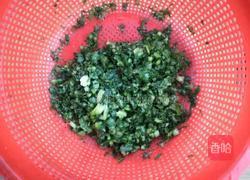 萝卜缨子炒年糕的做法图解8