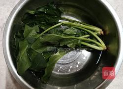 鲍鱼干贝酱拌面的做法图解2