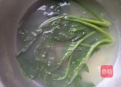 鲍鱼干贝酱拌面的做法图解7