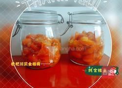 金桔膏(枇杷川贝金桔膏的做法图解8