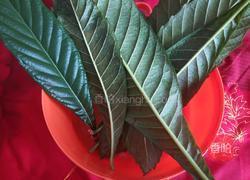 金桔膏(枇杷川贝金桔膏的做法图解1