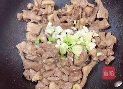孜然羊肉猫耳朵的做法图解11