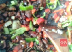 美味小炒鸡的做法图解9