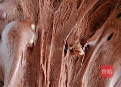 巧克力核桃面包的做法图解21