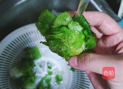 私房炒儿菜的做法图解2