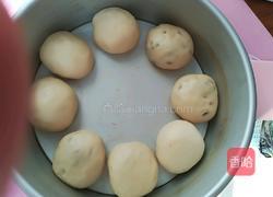 蜜豆海苔肉松面包的做法图解9