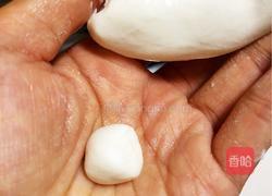 酒酿圆子的做法图解5