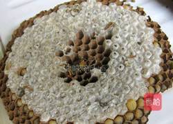 油炸蜂蛹的做法图解2