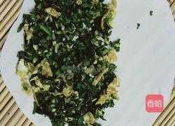 虾米鸡蛋韭菜盒子的做法图解14