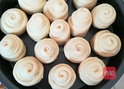 椰蓉蜂蜜面包的做法图解8