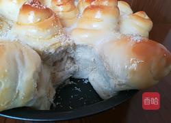 椰蓉蜂蜜面包的做法图解12