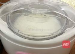 自制猕猴桃酸奶的做法图解3