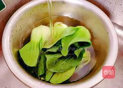 香菇油菜的做法图解3