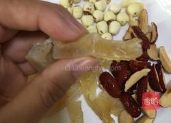 花胶炖奶的做法图解2