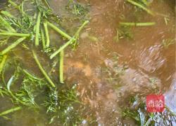 茴香打卤面的做法图解19